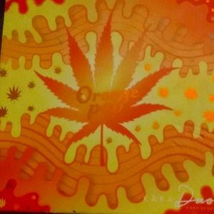 Orange Pop Kara Duo Palette